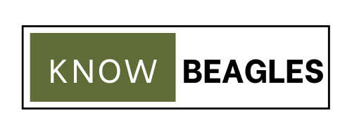 KNOW BEAGLES