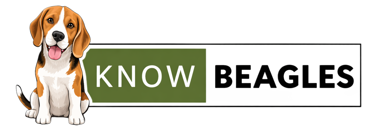 Know Beagles
